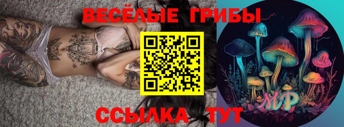 Бутурлиновка  Псилоцибиновые грибы Psilocybe  Вход с VPN 